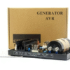448' Generator Automatic Voltage Regulator Leroy Somer AVR R448